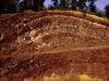 Anticline